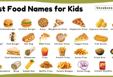 Fast Food Names for Kids in English with Pictures