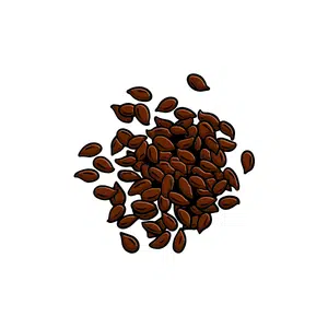 Flax Seeds | Healthy Food Names for Kids in English