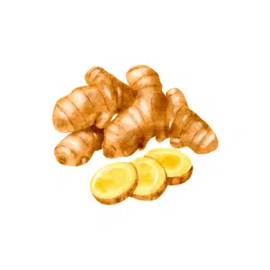 Ginger | Healthy Food Names for Kids in English