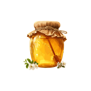Honey | Breakfast Food Names for Kids