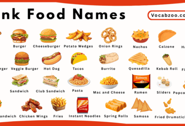 Junk Food Names for Kids in English with Pictures