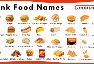 Junk Food Names for Kids in English with Pictures