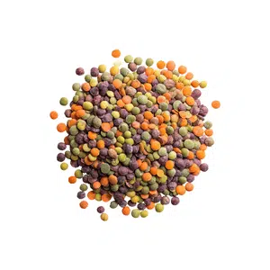 Lentils | Healthy Food Names for Kids in English