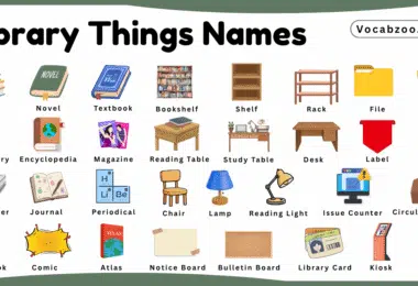 Library Things Names for Kids in English with Pictures