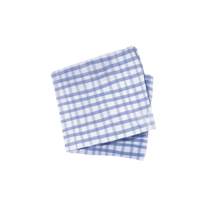 Napkin | Dining Table Items Names for Kids