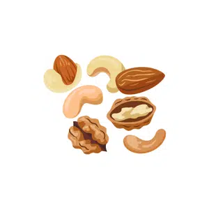 Nut Mix | Healthy Food Names for Kids in English