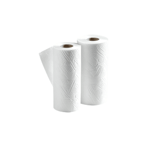 Paper towel | Cleaning Items Names for Kids in English