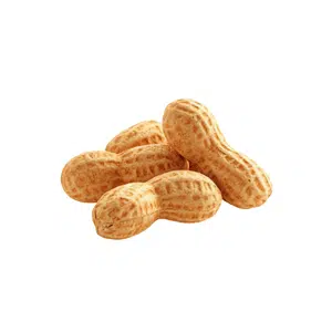 Peanuts