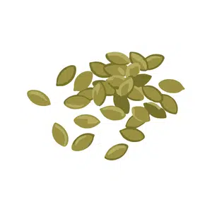 |Pumpkin Seeds Seeds