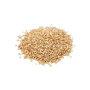 Quinoa