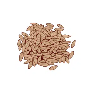 Sesame Seeds | Healthy Food Names for Kids in English