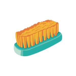 Shoe brush | Cleaning Items Names for Kids in English