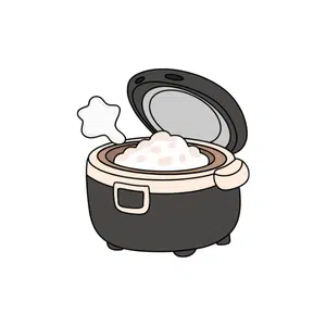 Solar cooker