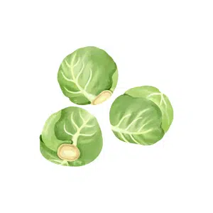 Sprouts | Healthy Food Names for Kids in English