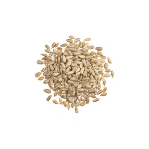 Sunflower Seeds