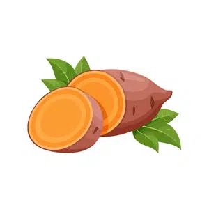Sweet Potato