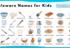 Tableware Names for Kids in English with Pictures