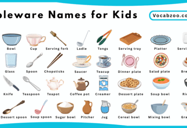 Tableware Names for Kids in English with Pictures