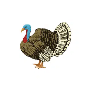 Turkey | Healthy Food Names for Kids in English