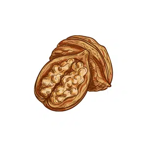 Walnuts | Healthy Food Names for Kids in English