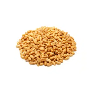 Whole Wheat