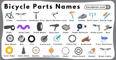 Bicycle Parts Names for Kids in English with Pictures