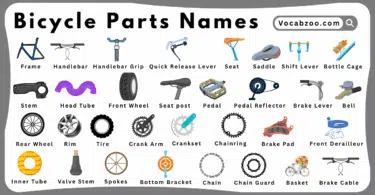 Bicycle Parts Names for Kids in English with Pictures
