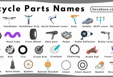 Bicycle Parts Names for Kids in English with Pictures