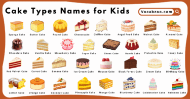 Cake Types Names for Kids in English with Pictures