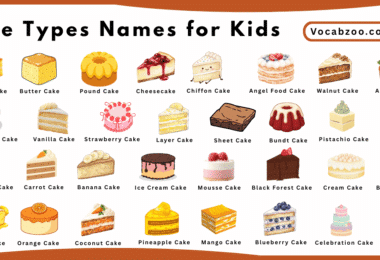 Cake Types Names for Kids in English with Pictures