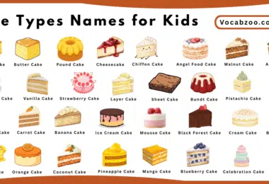 Cake Types Names for Kids in English with Pictures