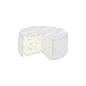 Camembert Cheese | Dairy Products Names for Kids