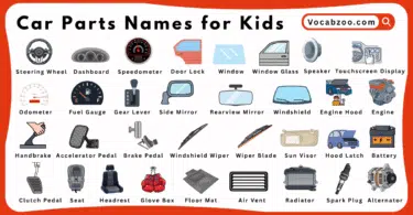 Car Parts Names for Kids in English with Pictures