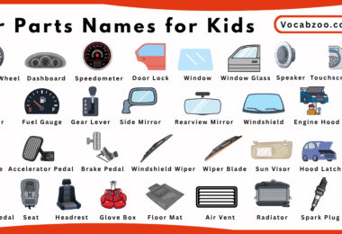 Car Parts Names for Kids in English with Pictures