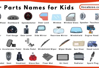 Car Parts Names for Kids in English with Pictures