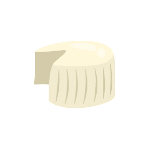 Ricotta Cheese