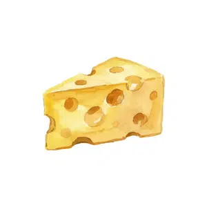 Swiss Cheese | Dairy Products Names for Kids