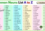 Common Nouns List A to Z in English with Pictures