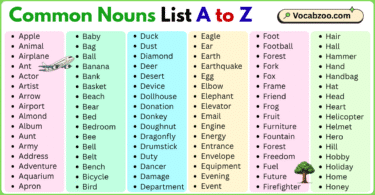 Common Nouns List A to Z in English with Pictures