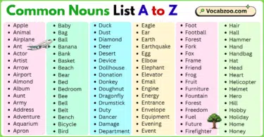 Common Nouns List A to Z in English with Pictures