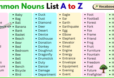 Common Nouns List A to Z in English with Pictures