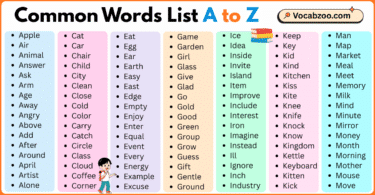 Common Words List A to Z in English with Pictures