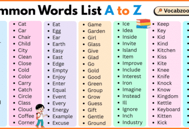 Common Words List A to Z in English with Pictures