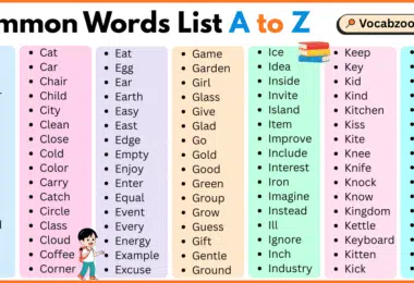 Common Words List A to Z in English with Pictures