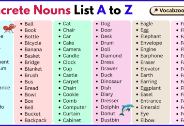 Concrete Nouns List A to Z in English with Pictures