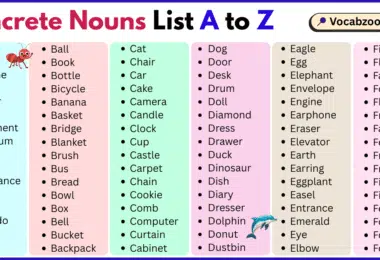 Concrete Nouns List A to Z in English with Pictures
