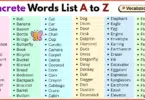 Concrete Words List A to Z in English with Pictures