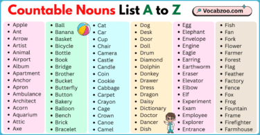 Countable Nouns List A to Z in English with Pictures