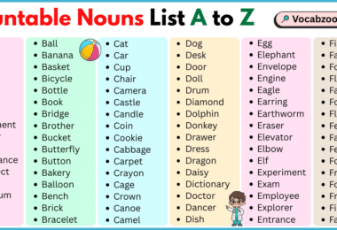 Countable Nouns List A to Z in English with Pictures