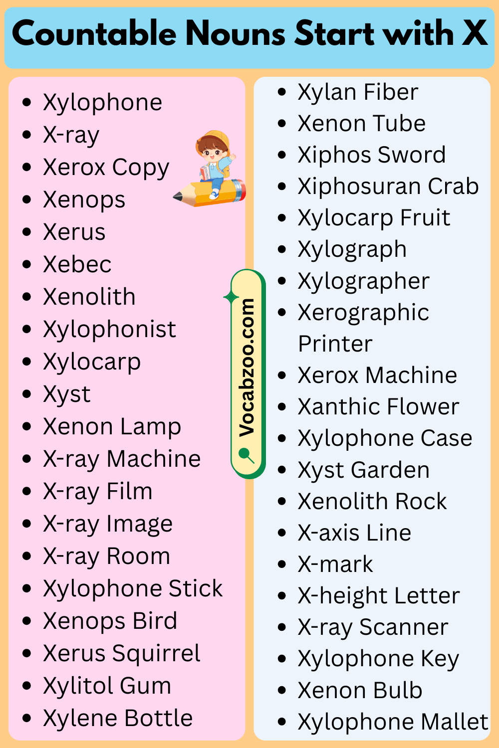 Countable Nouns That Start with X